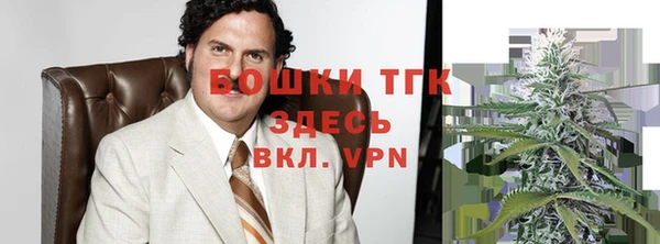 спайс Арсеньев