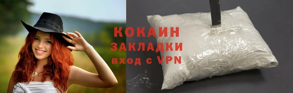 спайс Арсеньев