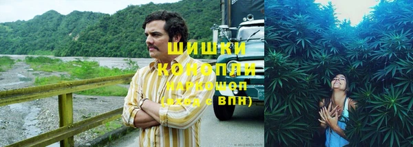 спайс Арсеньев