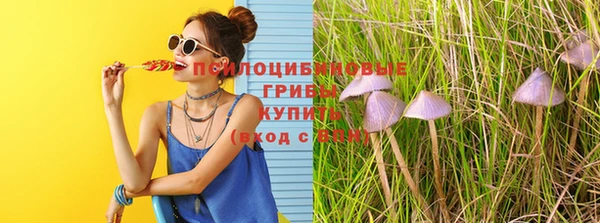 гидра Баксан