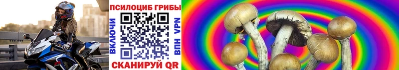 Псилоцибиновые грибы Magic Shrooms  купить закладку  Сосногорск 
